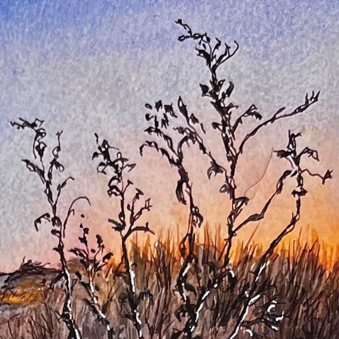 Winter Dune - 8x8 Print