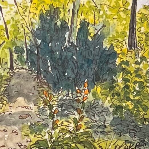 Wooded Path - 5x7 Print